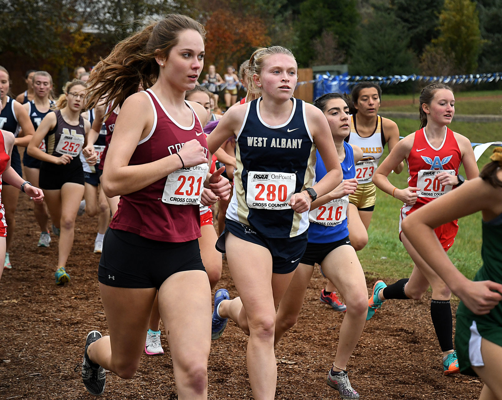 11-10-2019 5A Girls Cross Country 09.jpg
